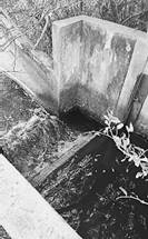 Imagen en blanco y negro

Descripción generada automáticamente con confianza media