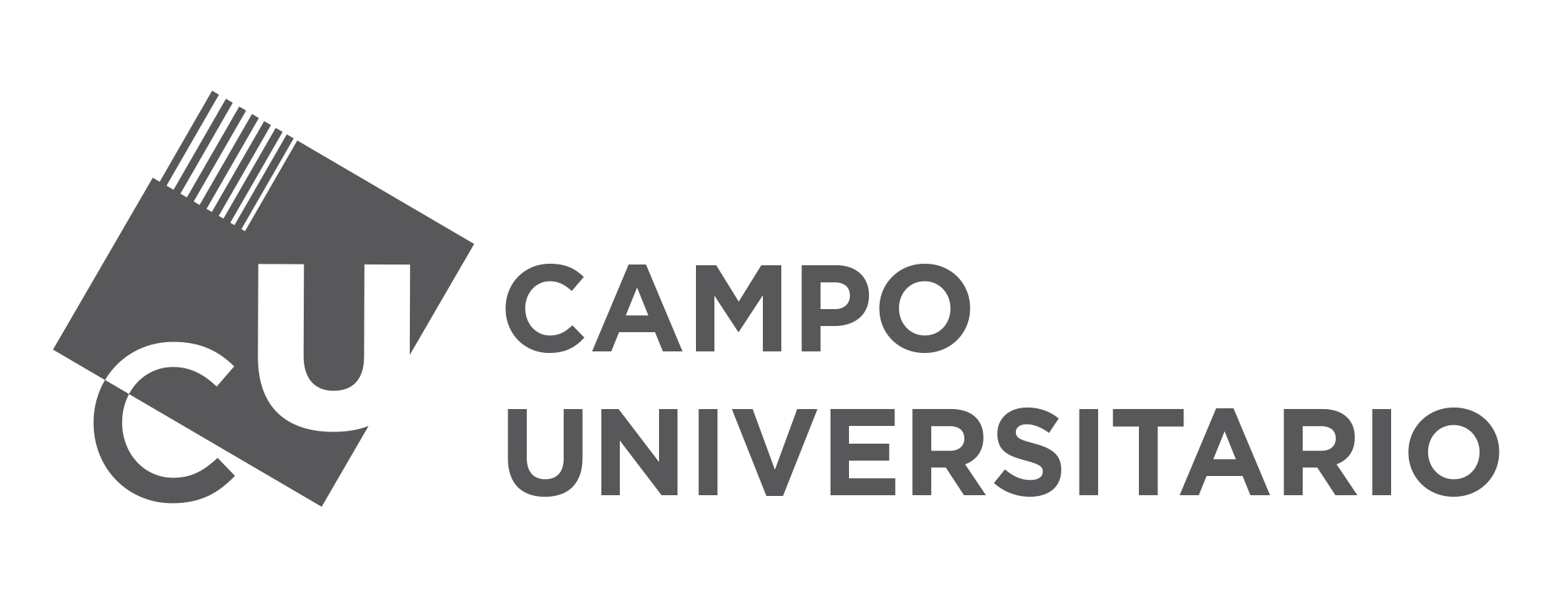 CAMPO UNIVERSITARIO  ISSN 2718-6121